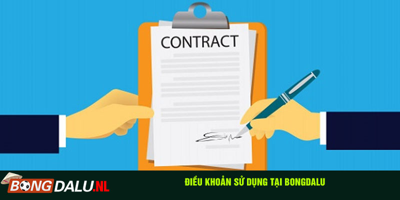 Điều khoản sử dụng