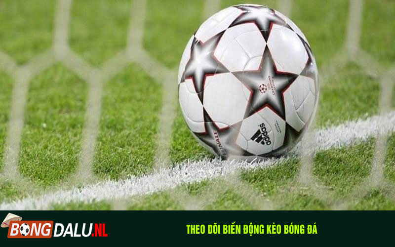 Theo Dõi Biến Động Kèo Bóng Đá