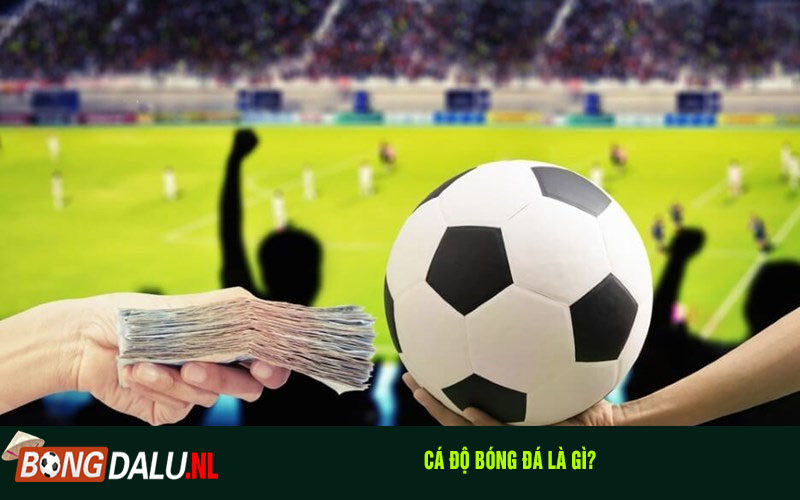 Cá độ bóng đá là gì?