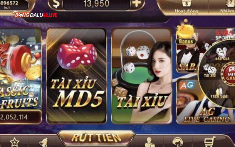 Sự mở rộng và phát triển không ngừng của cộng đồng người chơi